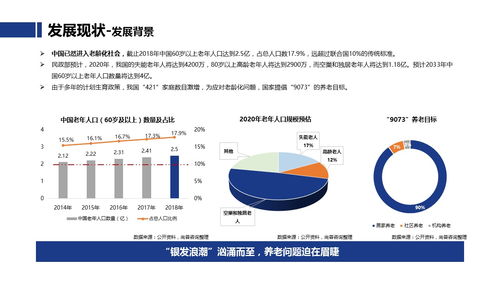 中國(guó)養(yǎng)老地產(chǎn)行業(yè)市場(chǎng)調(diào)研分析